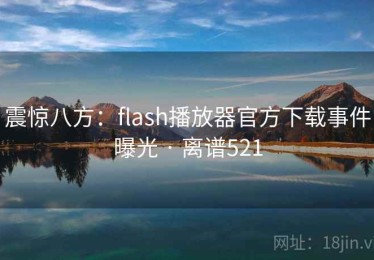 震惊八方：flash播放器官方下载事件曝光 · 离谱521