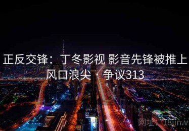 正反交锋：丁冬影视 影音先锋被推上风口浪尖 · 争议313