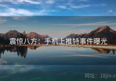 震惊八方：手机上推特事件曝光