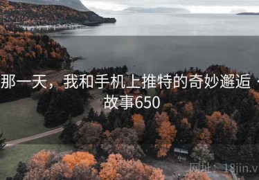那一天，我和手机上推特的奇妙邂逅 · 故事650