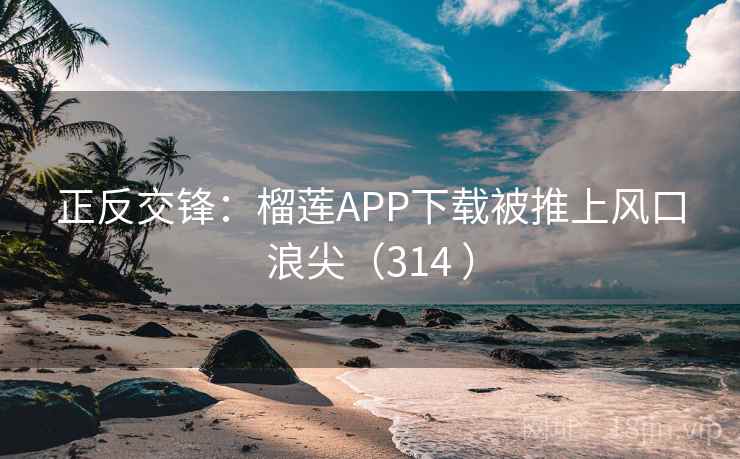 正反交锋:榴莲APP下载被推上风口浪尖(314 ) 正反交锋:榴莲APP下载被推上风口浪尖(314 )