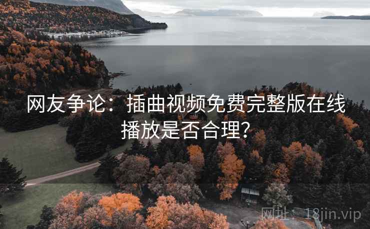 网友争论：插曲视频免费完整版在线播放是否合理？